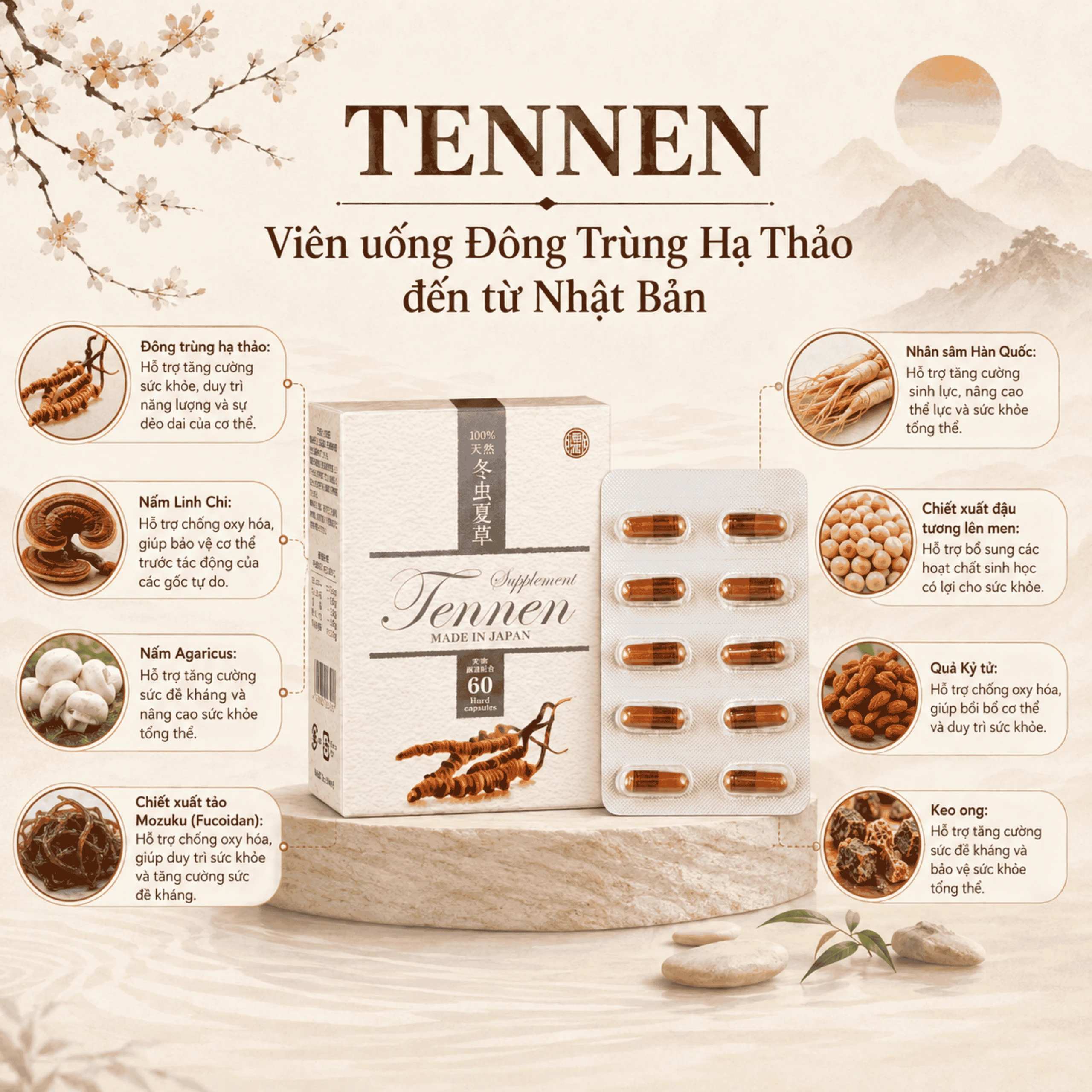Viên uống Đông Trùng Hạ Thảo hỗ trợ tăng cường sức khỏe, hạn chế lão hóa Tennen Jpanwell (6 vỉ x 10 viên) 4