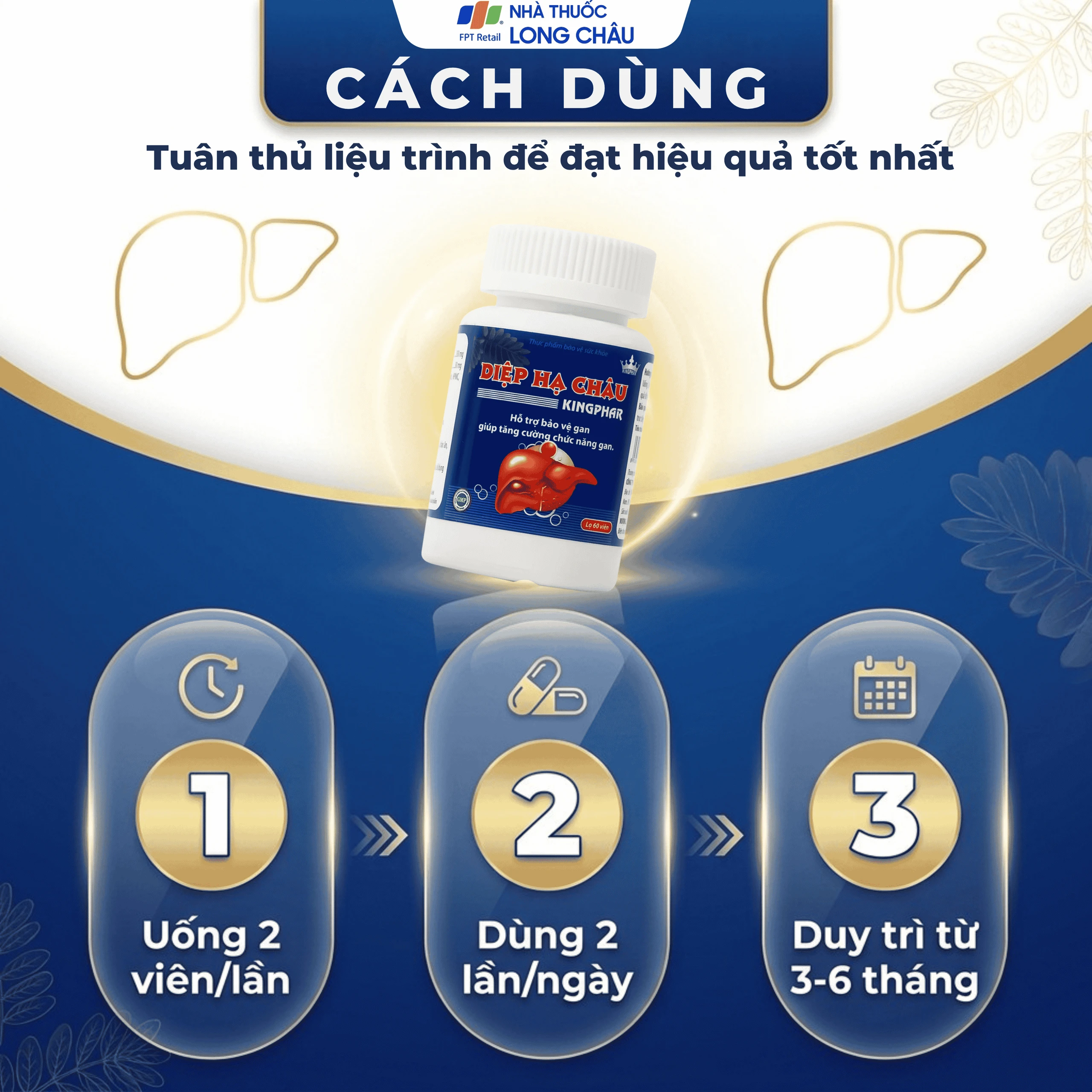 Viên uống hỗ trợ bảo vệ gan, tăng cường chức năng gan Diệp Hạ Châu Kingphar (60 viên) 5