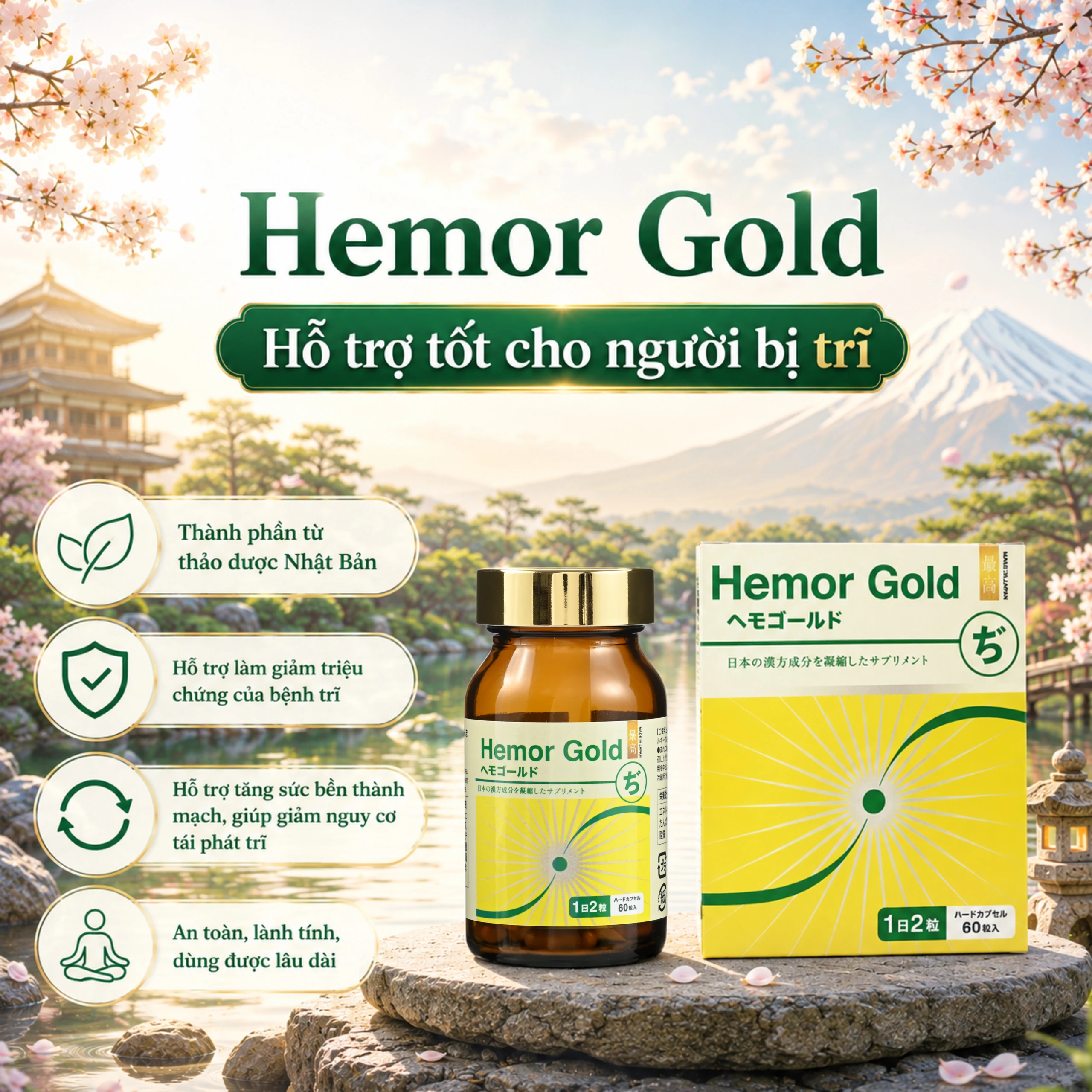Viên uống hỗ trợ tốt cho người bị trĩ Hemor Gold Jpanwell (60 viên) 2