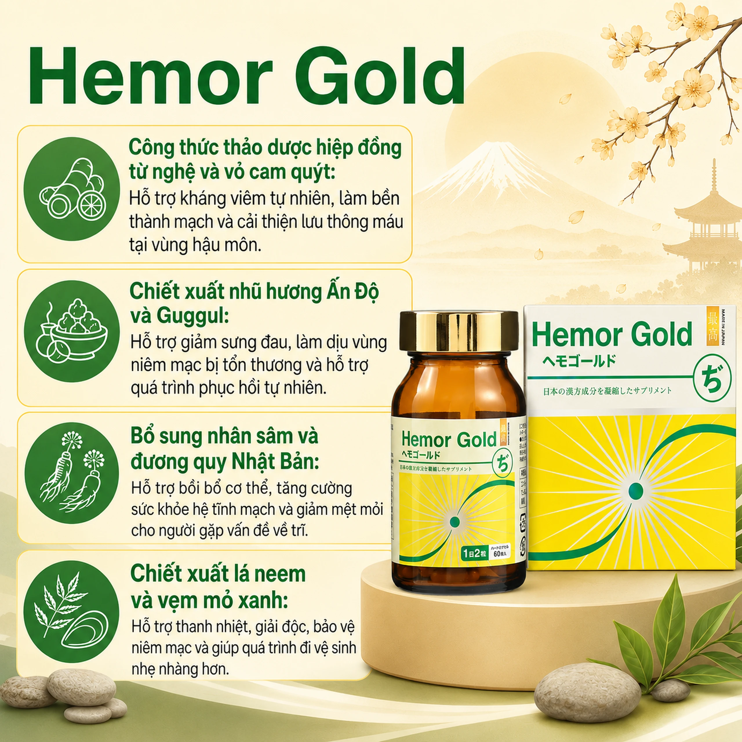 Viên uống hỗ trợ tốt cho người bị trĩ Hemor Gold Jpanwell (60 viên) 4