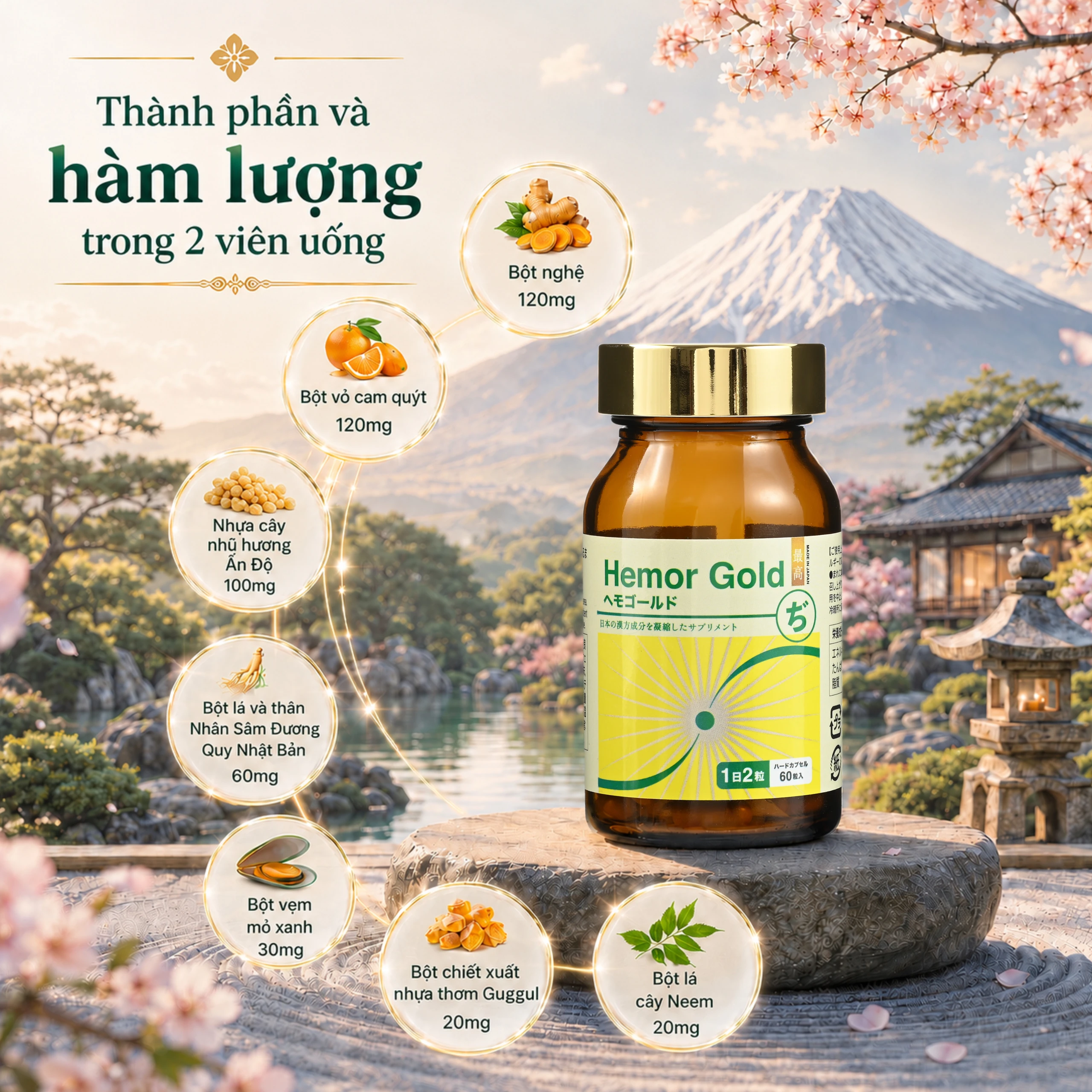 Viên uống hỗ trợ tốt cho người bị trĩ Hemor Gold Jpanwell (60 viên) 5