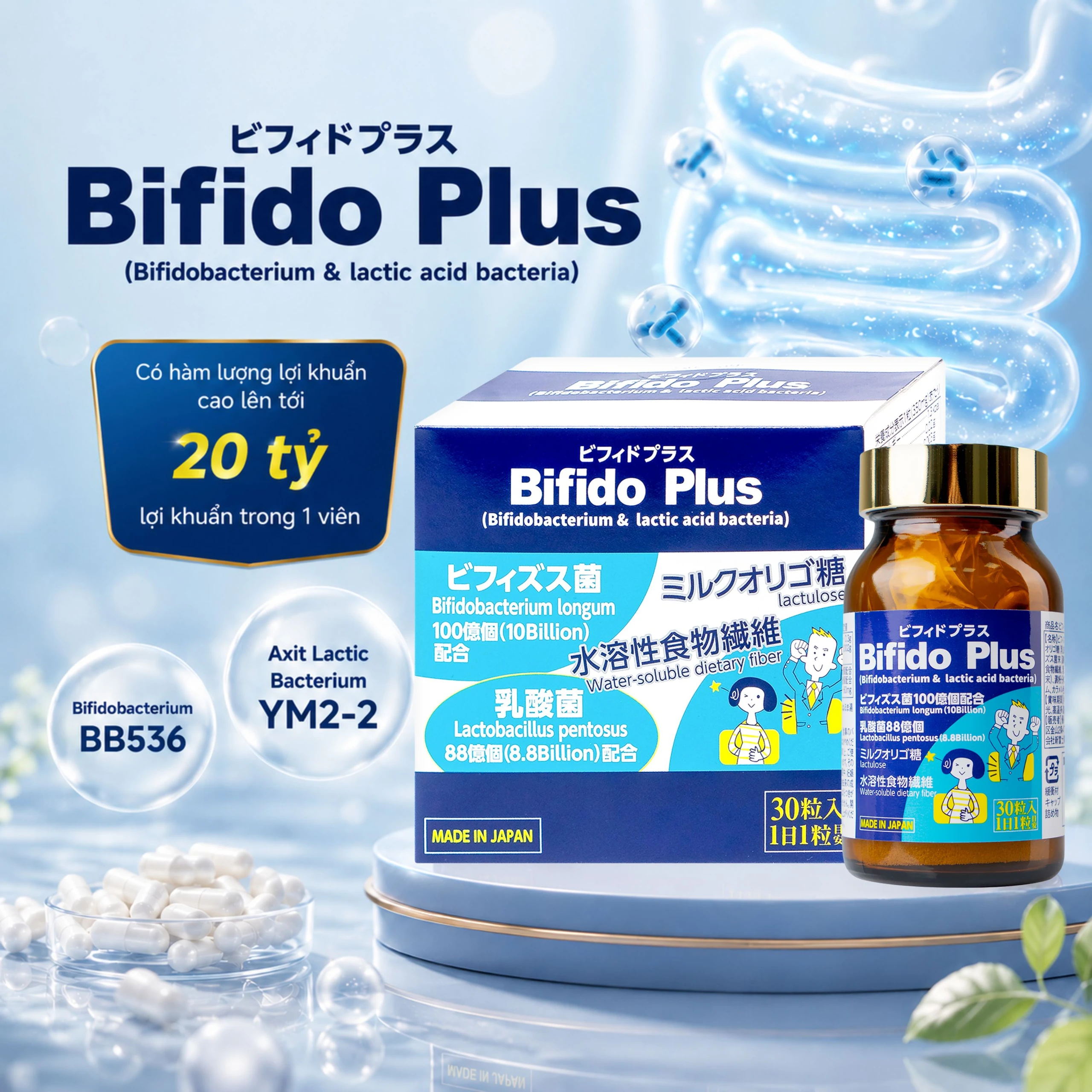 Viên uống bổ sung lợi khuẩn đường ruột giảm rối loạn tiêu hóa do loạn khuẩn Bifido Plus Jpanwell (30 viên) 3