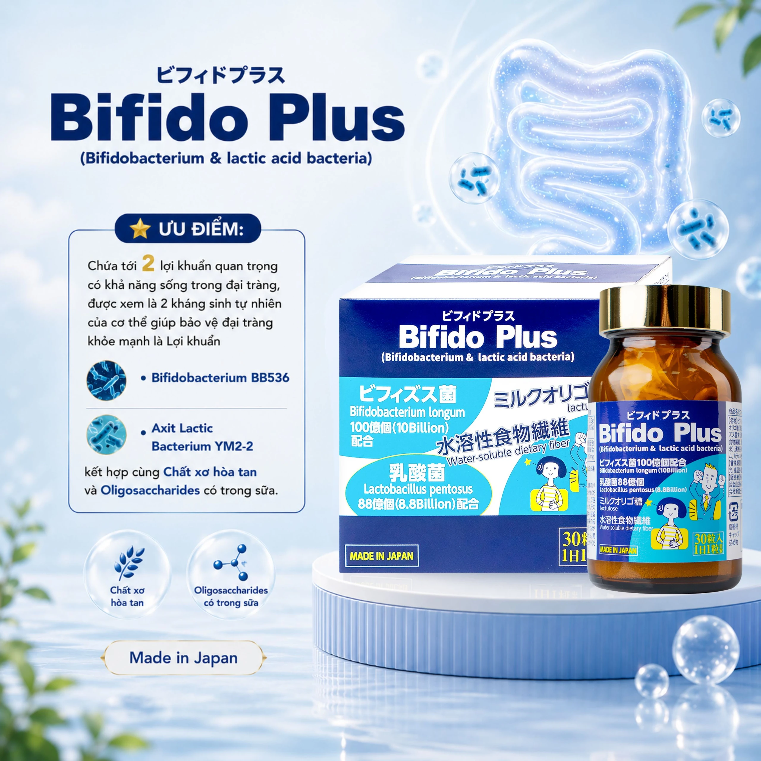 Viên uống bổ sung lợi khuẩn đường ruột giảm rối loạn tiêu hóa do loạn khuẩn Bifido Plus Jpanwell (30 viên) 4