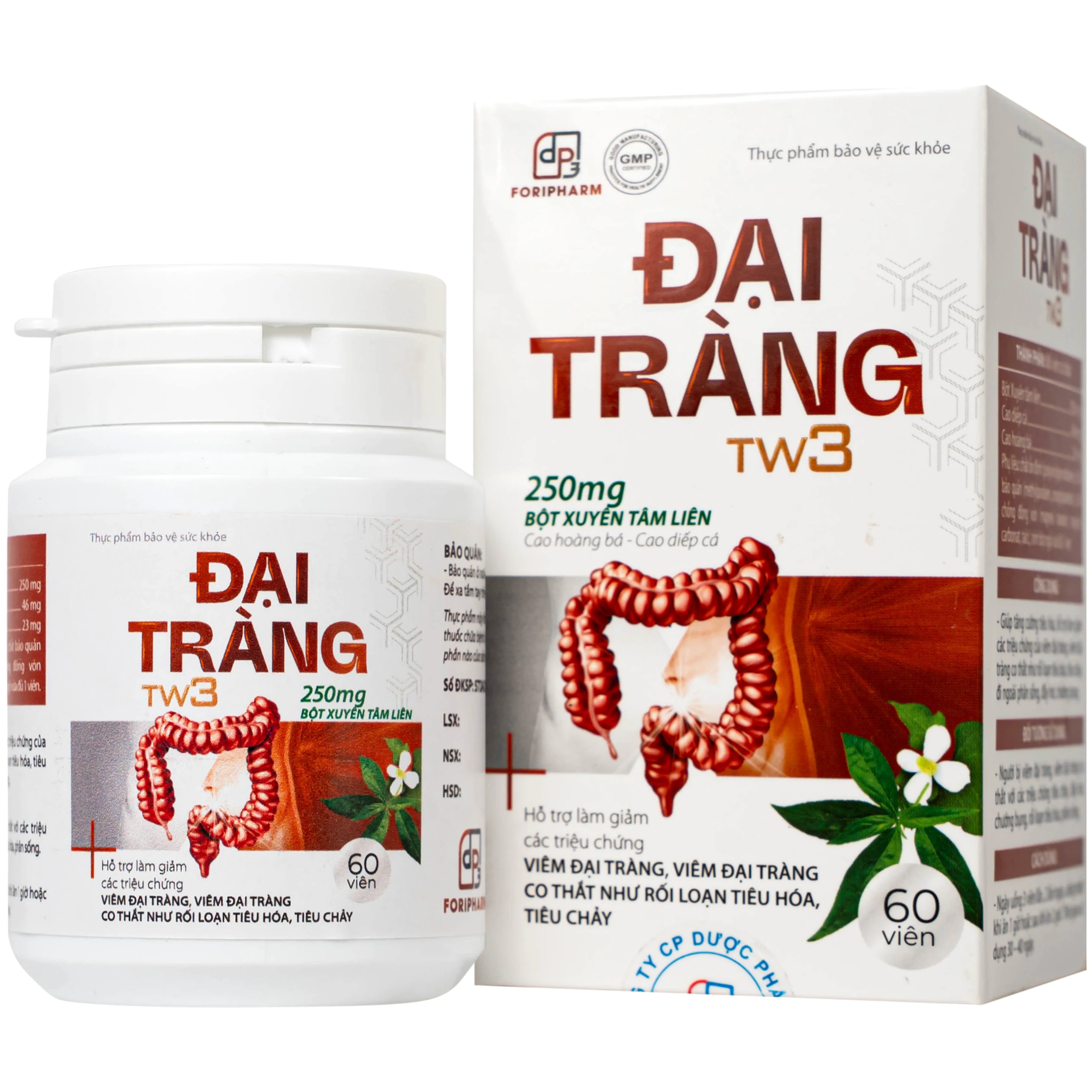 Viên uống hỗ trợ làm giảm các triệu chứng viêm đại tràng, tăng cường tiêu hoá Đại Tràng Tw3 Foripharm (Hộp 60 viên) 1