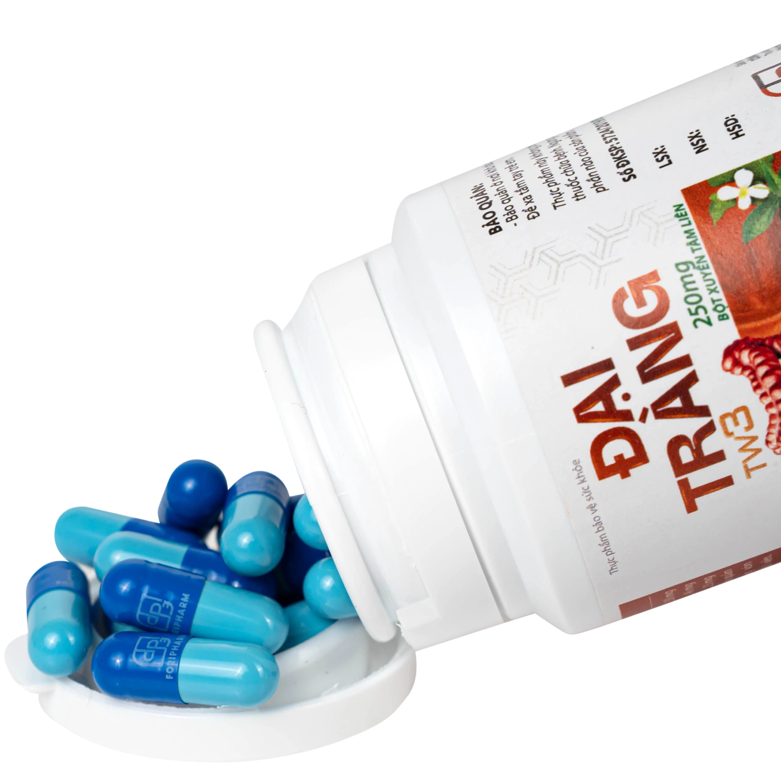 Viên uống hỗ trợ làm giảm các triệu chứng viêm đại tràng, tăng cường tiêu hoá Đại Tràng Tw3 Foripharm (Hộp 60 viên) 6