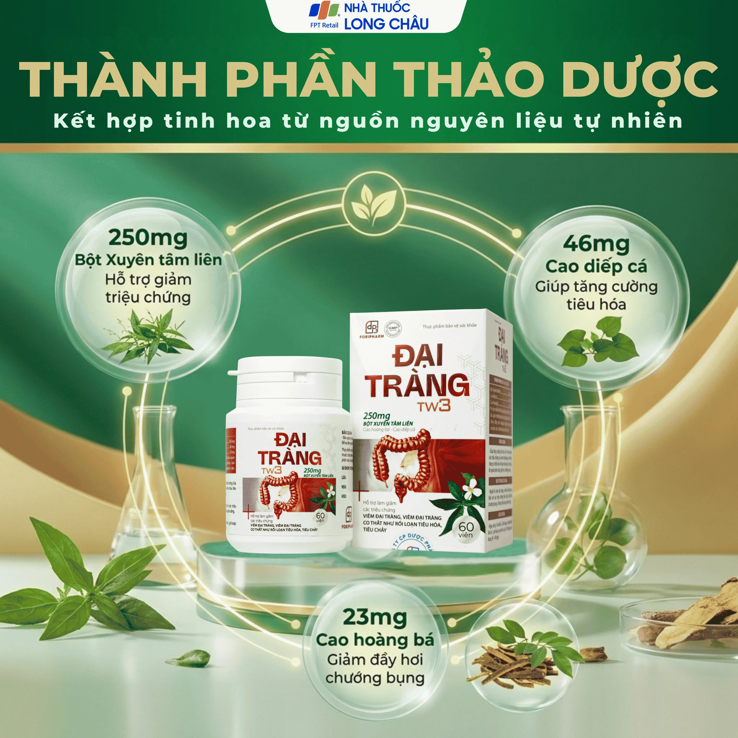 Viên uống hỗ trợ làm giảm các triệu chứng viêm đại tràng, tăng cường tiêu hoá Đại Tràng Tw3 Foripharm (Hộp 60 viên) 3