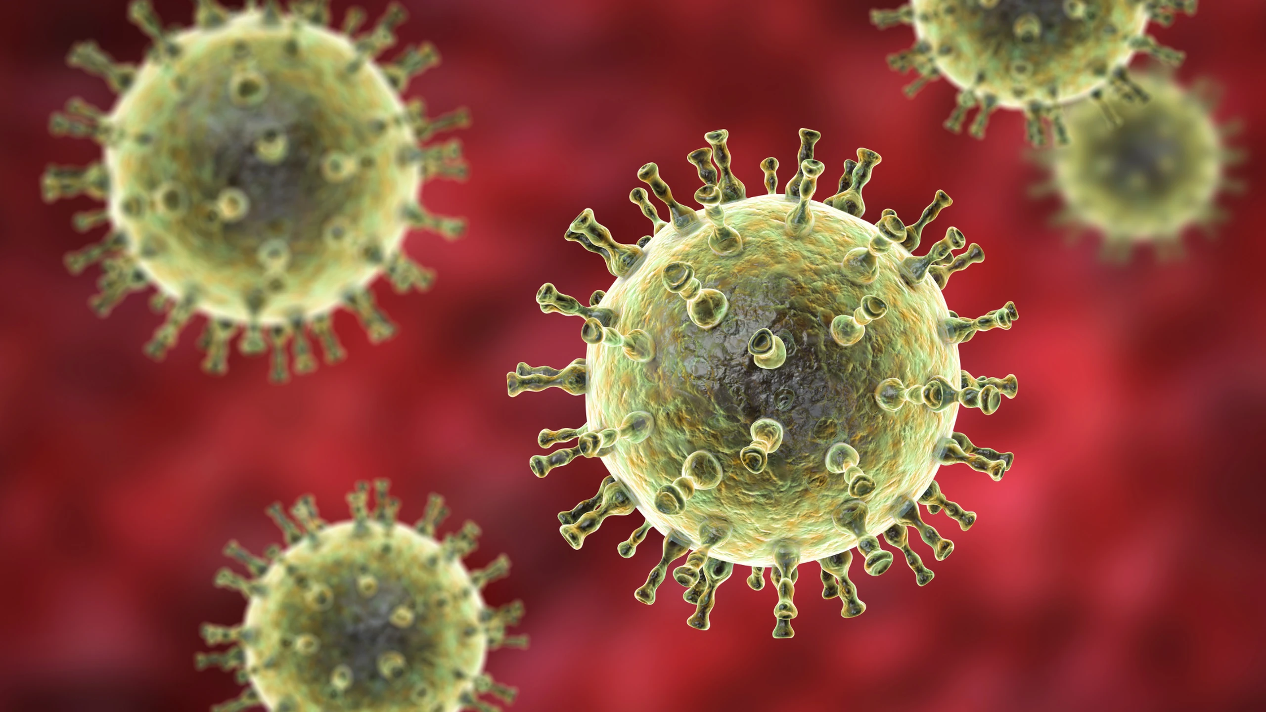 Virus nào gây bệnh thủy đậu? Bệnh thủy đậu có nguy hiểm không?