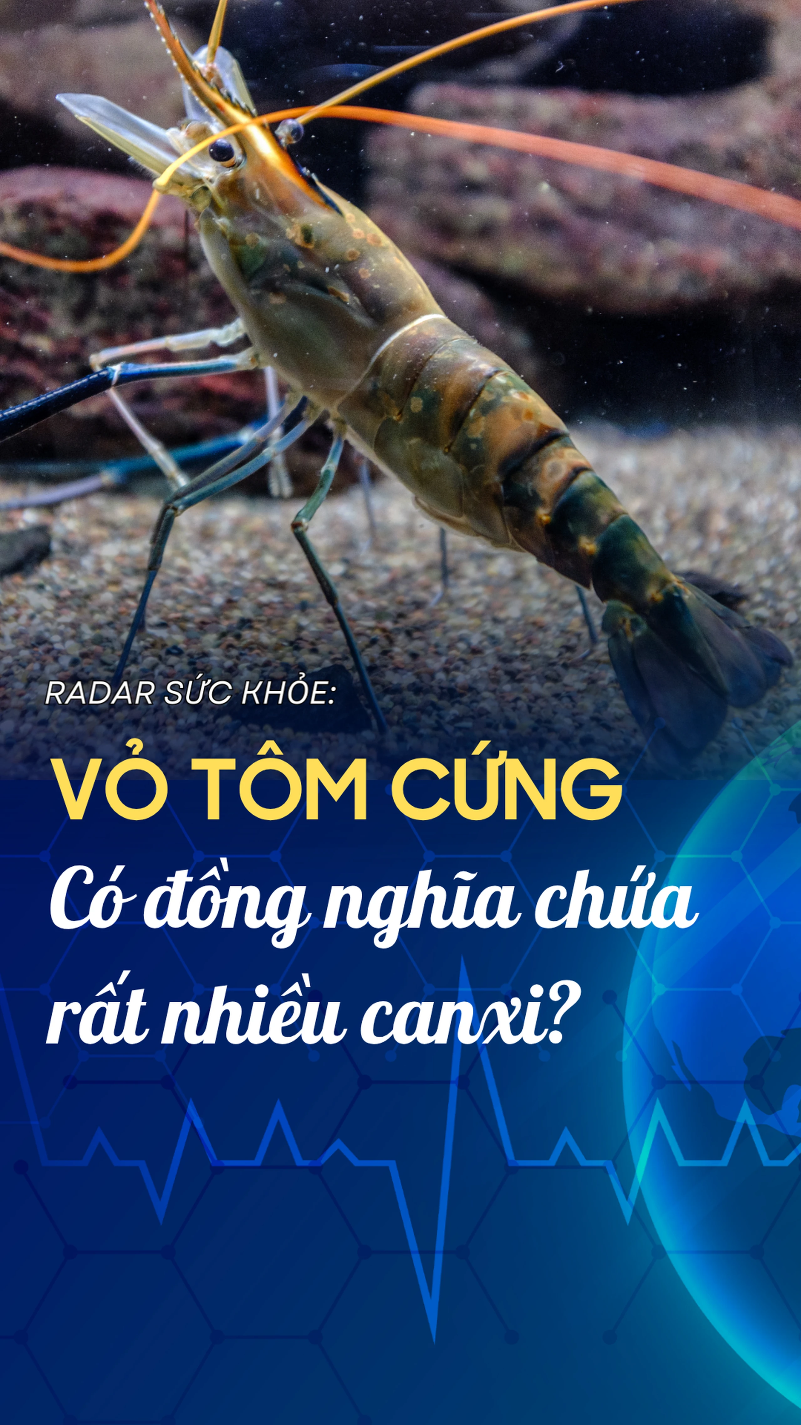 Nhà thuốc Long Châu