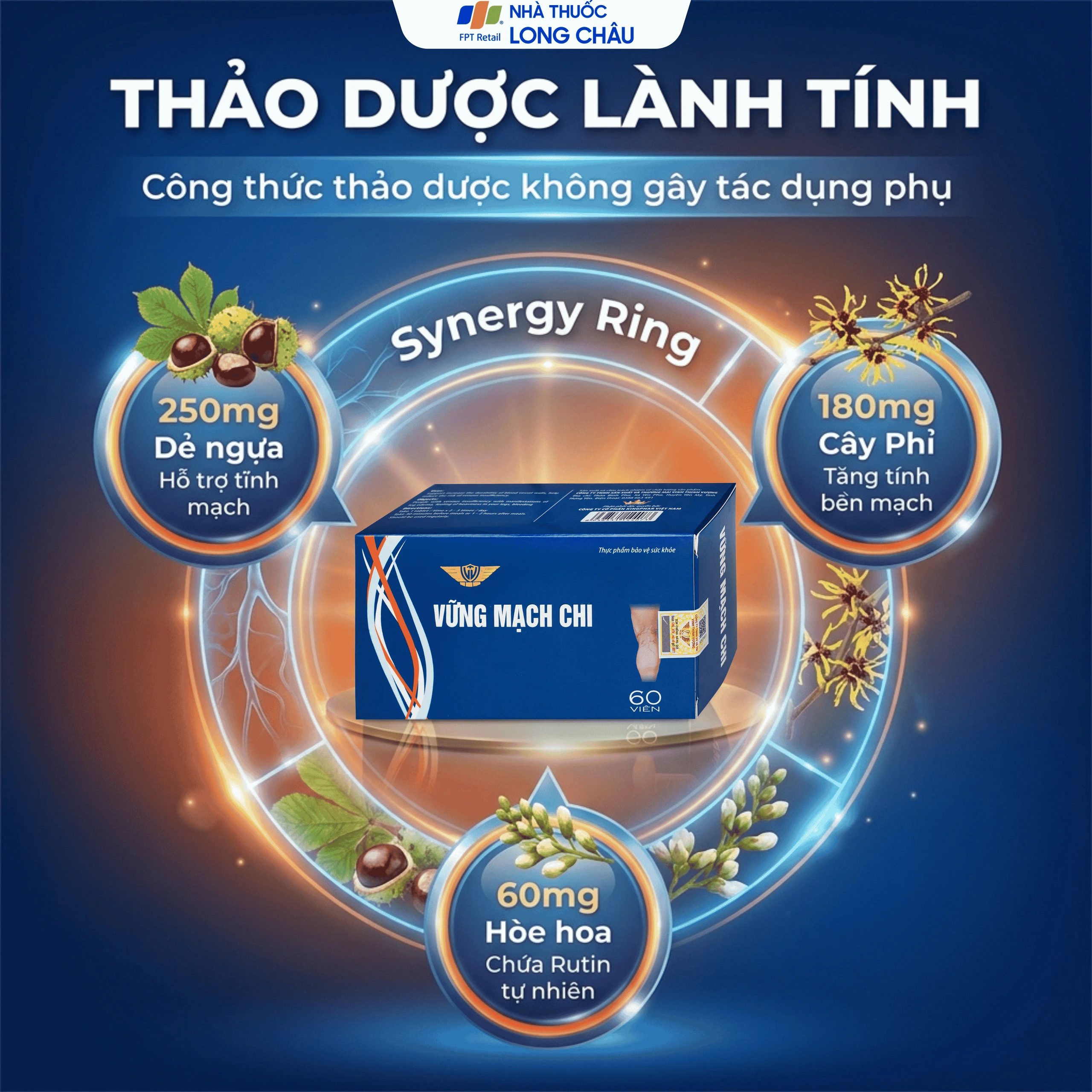 Viên uống giúp giảm nguy cơ suy tĩnh mạch, tăng tính bền thành mạch Vững Mạch Chi Kingphar (6 vỉ x 10 viên) 3