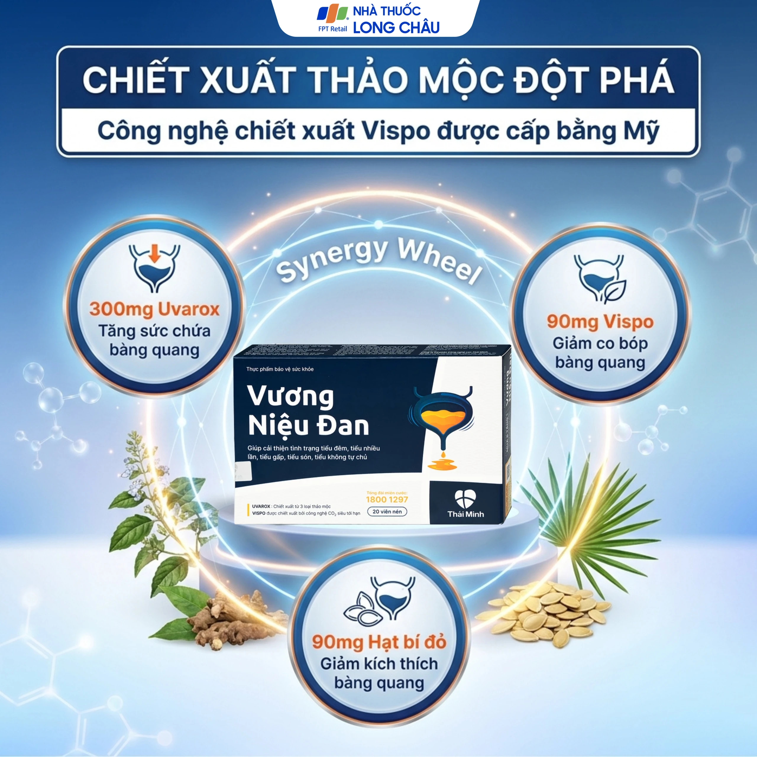 Viên uống giảm tiểu đêm Vương Niệu Đan Thái Minh (20 viên) 3