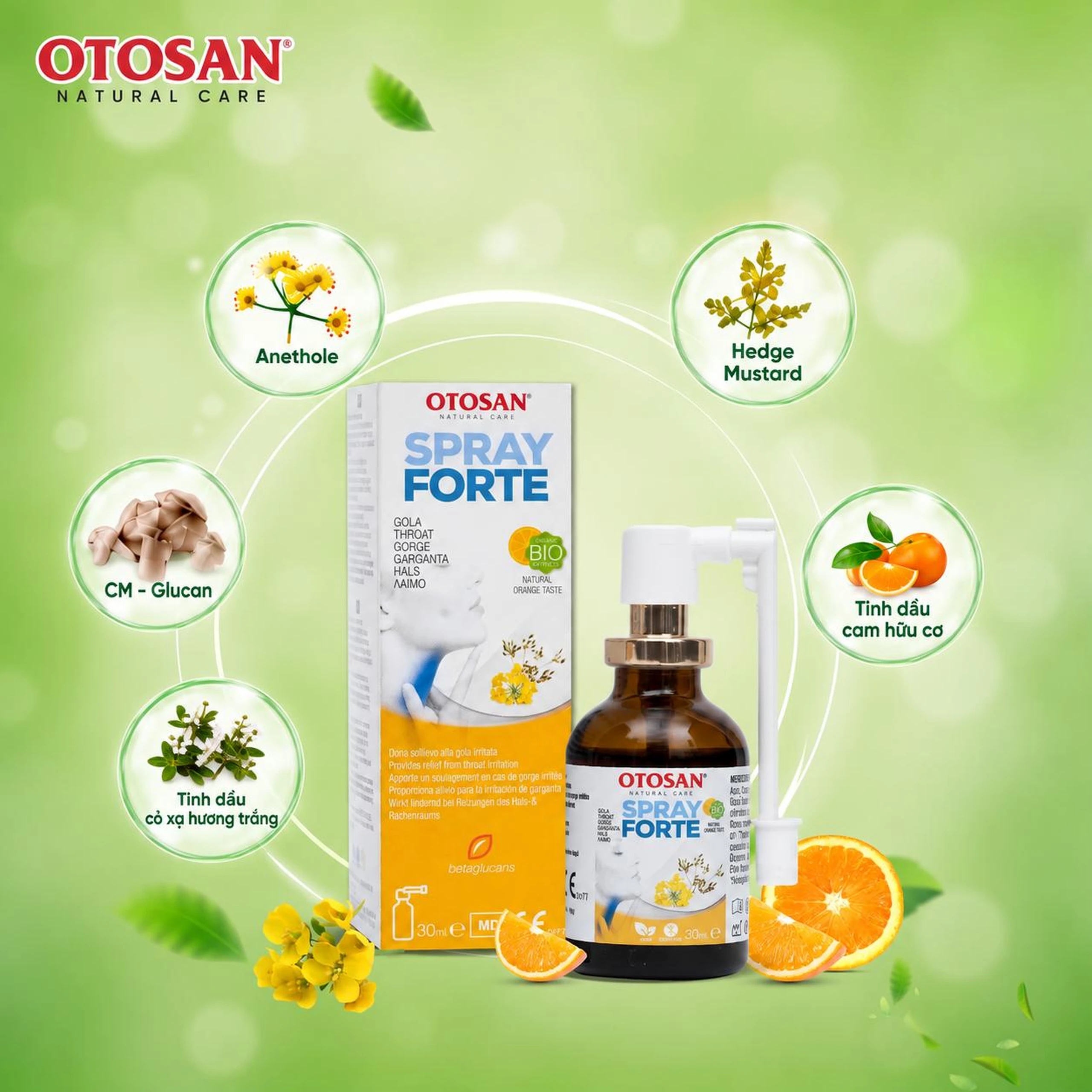 Xịt họng Otosan Forte 30ml hỗ trợ giảm viêm họng cấp tính, viêm hô hấp, giảm đau rát họng 3