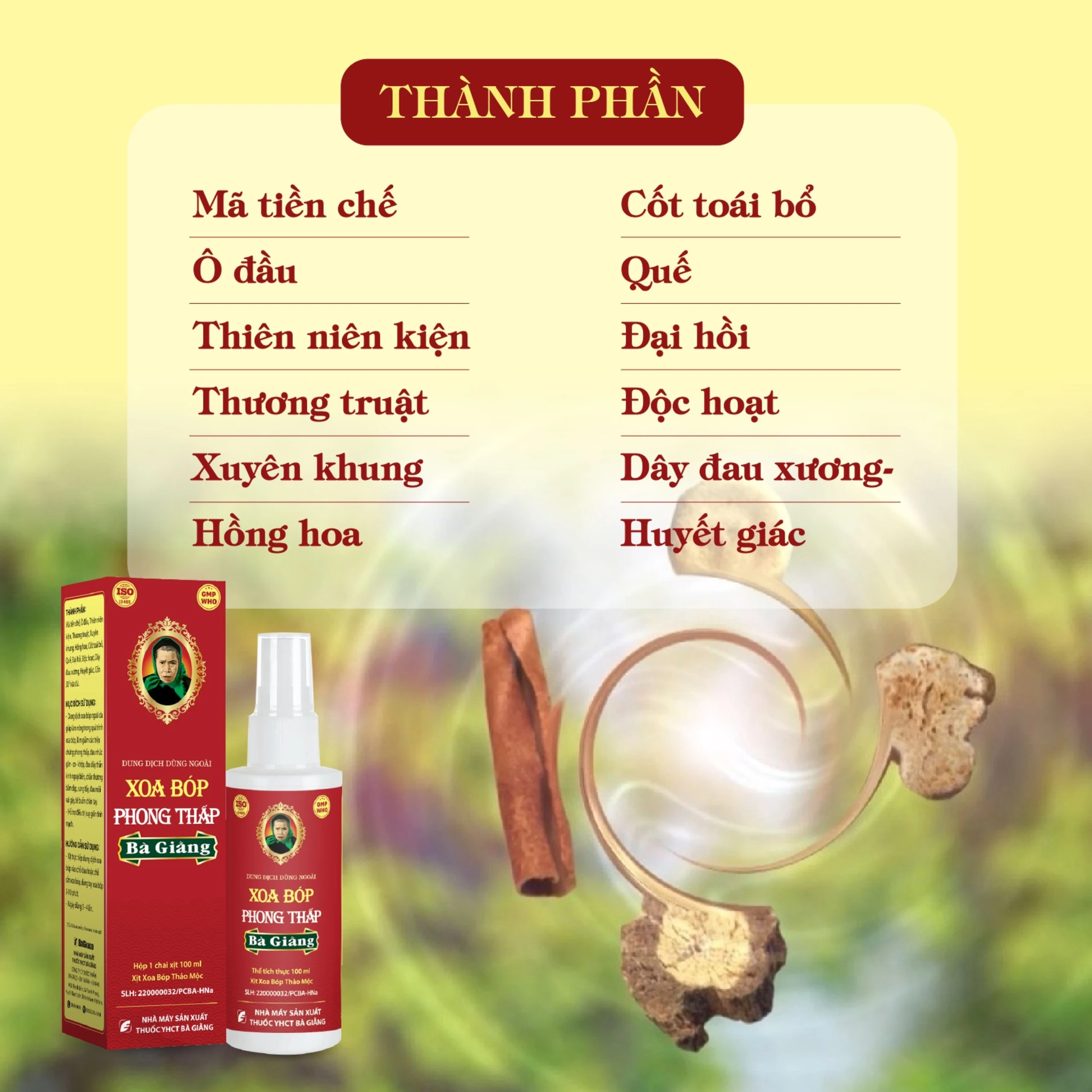 Xịt xoa bóp phong thấp Bà Giằng 100ml giúp giảm chứng phong thấp, đau mỏi, suy tĩnh mạch