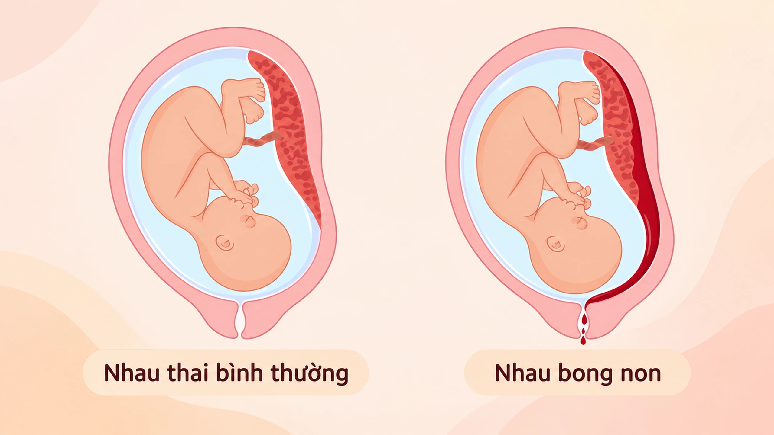 Nhà thuốc Long Châu