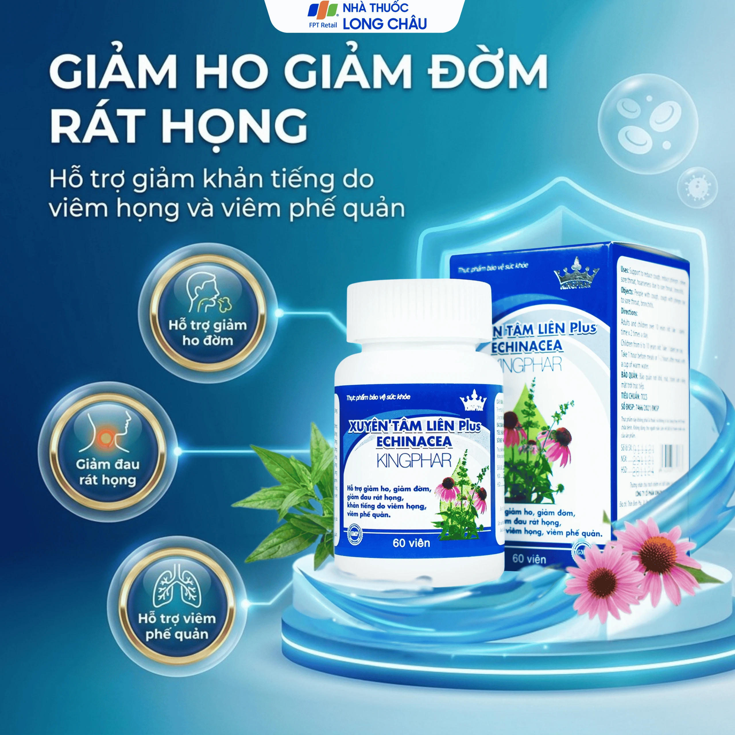 Viên uống hỗ trợ giảm ho, giảm đờm, giảm đau rát họng Xuyên Tâm Liên Plus Echinacea Kingphar (60 viên) 2