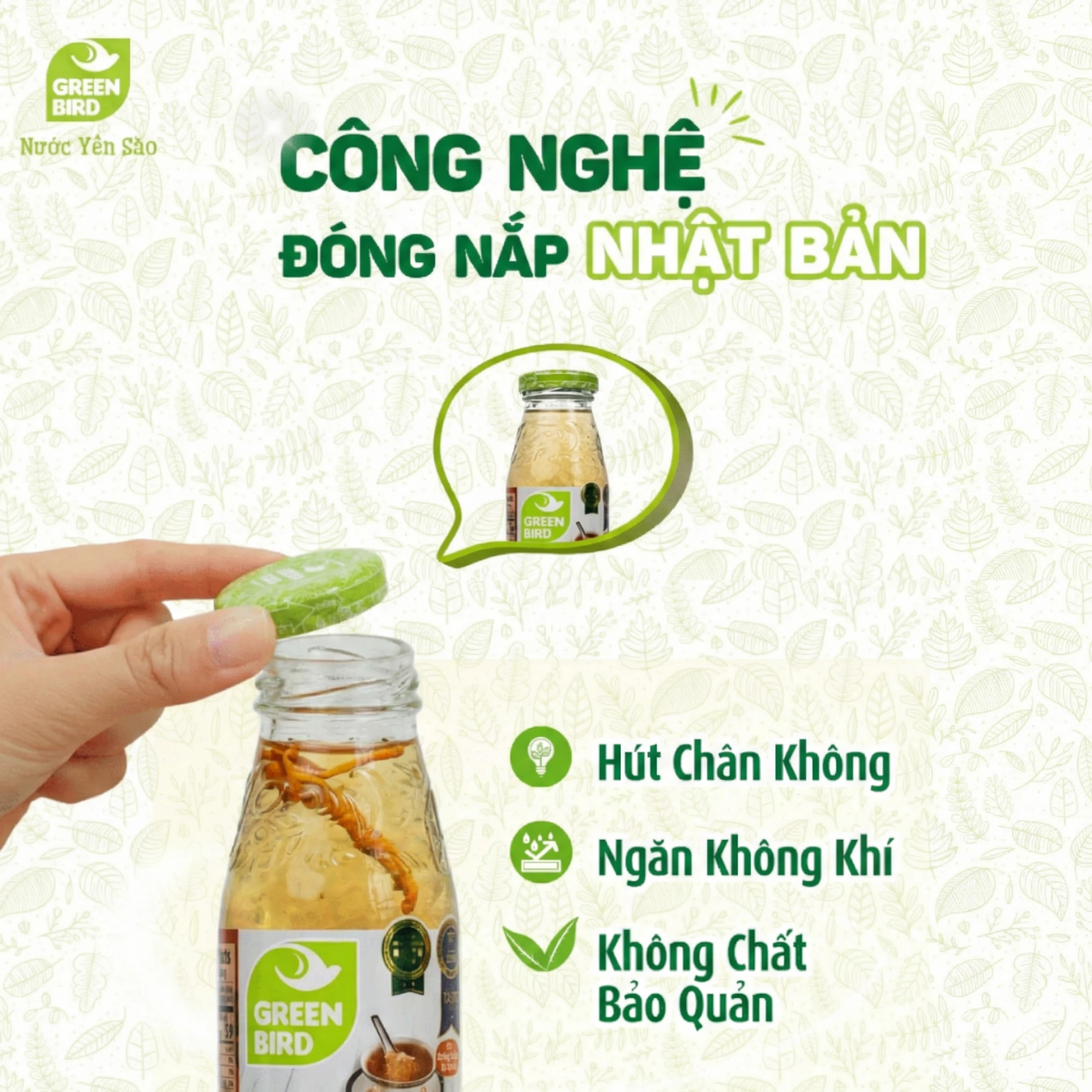 Nước Yến Sào Và Đông Trùng Hạ Thảo Greenbird (6 chai x 185ml)