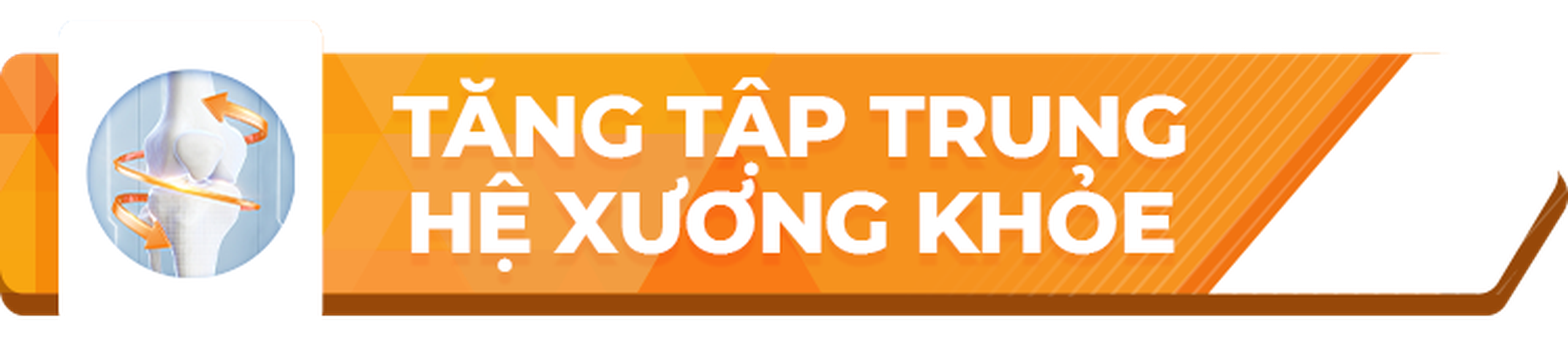 Nhà Thuốc Long Châu