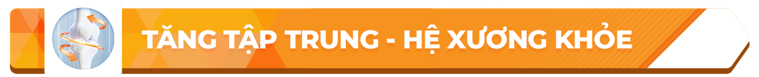 Nhà Thuốc Long Châu