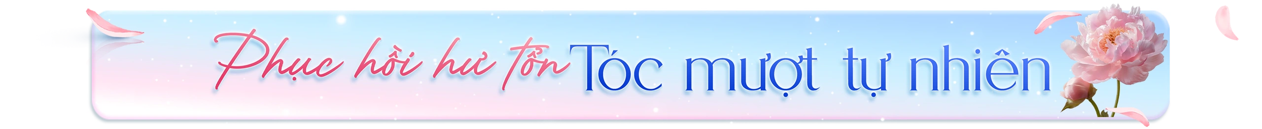 Nhà Thuốc Long Châu