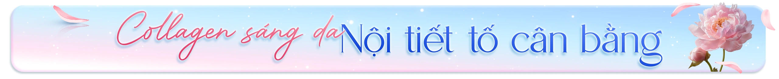 Nhà Thuốc Long Châu