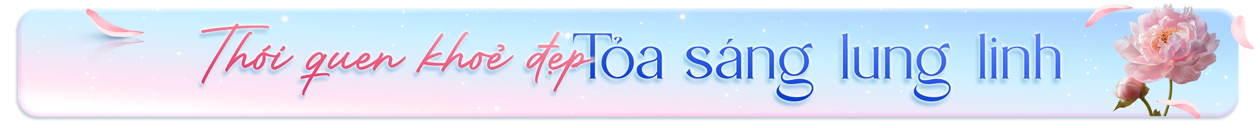 Nhà Thuốc Long Châu