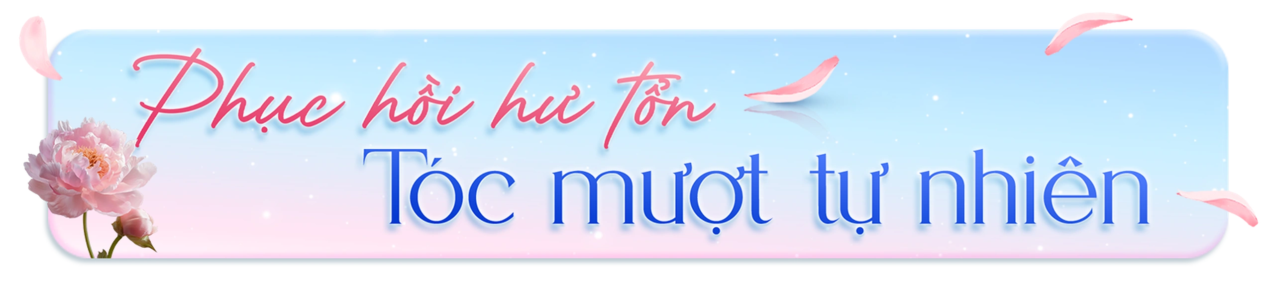 Nhà Thuốc Long Châu