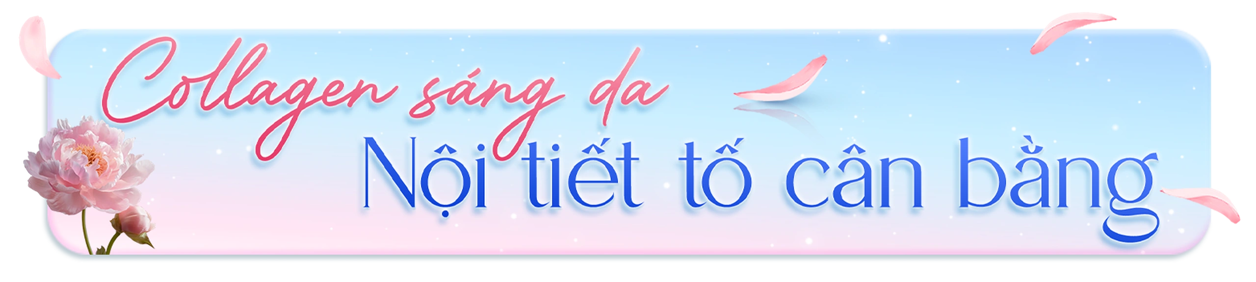 Nhà Thuốc Long Châu