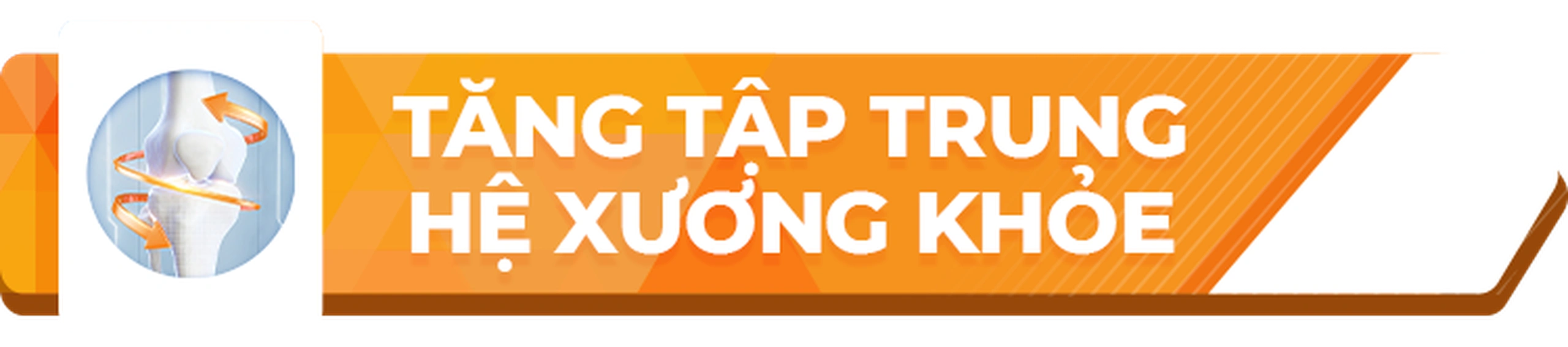 Nhà Thuốc Long Châu