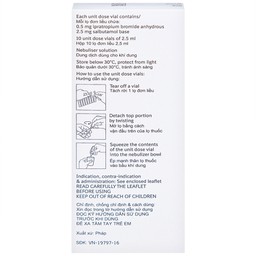 Dung dịch khí dung Combivent Boehringer kiểm soát co thắt phế quản (1 vỉ x 10 ống)