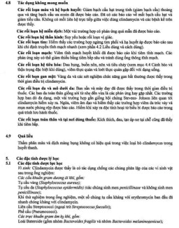 Thuốc tiêm Dalacin C 600mg/4ml Pfizer điều trị nhiễm khuẩn (4ml)