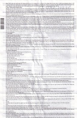 Viên nén Nebicard 2.5 Torrent điều trị tăng huyết áp (5 vỉ x 10 viên)