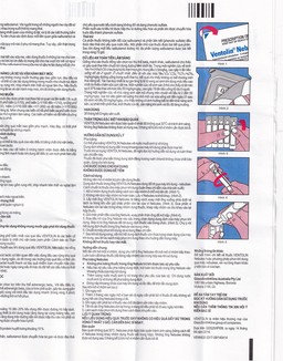 Dung dịch khí dung Ventolin Nebules 2.5mg GSK điều trị, ngăn ngừa co thắt phế quản (6 vỉ x 5 ống)