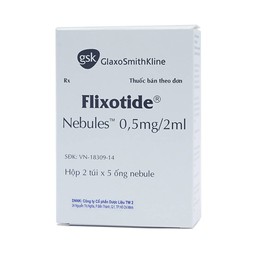 Khí dung Flixotide 0.5mg GSK điều trị hen phế quản (10 ống x 2ml)