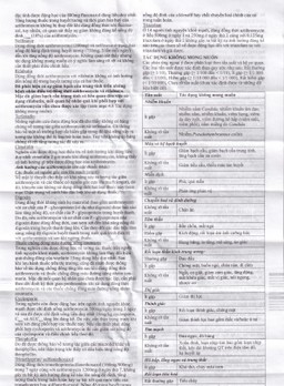 Thuốc Garosi Bluepharma điều trị nhiễm khuẩn (1 vỉ x 3 viên)