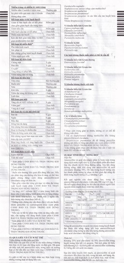 Thuốc Amoksiklav Quick Tabs 625mg Lek điều trị nhiễm khuẩn (7 vỉ x 2 viên)