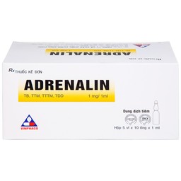 Dung dịch tiêm Adrenalin 1mg/1ml hồi sức tim phổi, cấp cứu choáng phản vệ (5 vỉ x 10 ống)