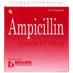 Thuốc Ampicillin Capsules BP 500mg Brawn điều trị nhiễm khuẩn (10 vỉ x 10 viên)