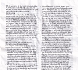 Thuốc Remeron 30mg MSD điều trị các đợt của trầm cảm nặng (3 vỉ x 10 viên)