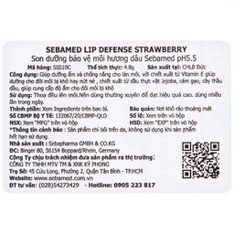 Son dưỡng môi hương dâu Sebamed Lip Defense dưỡng ẩm, chống khô nứt (4.8g)