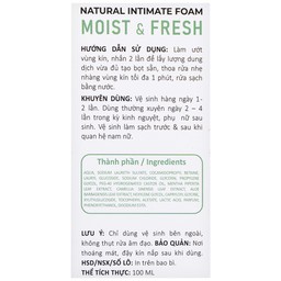 Dung dịch vệ sinh phụ nữ dạng bọt Daily Lady Moist và Fresh khử khuẩn khử mùi (100ml)