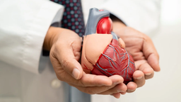 Nhồi máu cơ tim cấp là gì? Những điều cần biết về bệnh nhồi máu cơ tim cấp 2