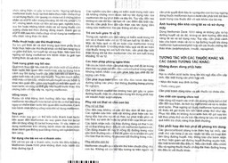 Viên nén Metformin Denk 1000 điều trị đái tháo đường típ 2 (2 vỉ x 15 viên)