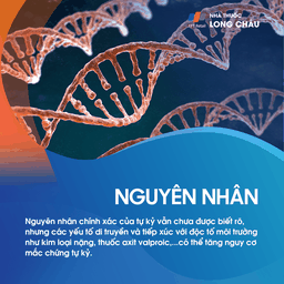 Nguyên nhân và yếu tố nguy cơ dẫn đến chứng rối loạn phổ tự kỷ