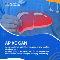 Áp xe gan - Tìm hiểu về bệnh lý áp xe gan