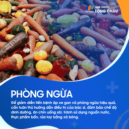 Phòng ngừa áp xe gan - Cách duy trì sức khỏe gan và ngăn ngừa nhiễm trùng