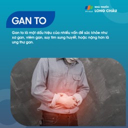 Gan to - Tìm hiểu về tình trạng gan phì đại và cách chăm sóc sức khỏe gan