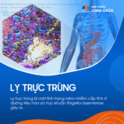 Lỵ trực trùng 1