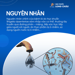 Lỵ trực trùng 3