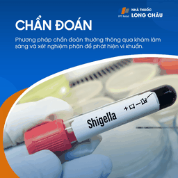 Lỵ trực trùng 5