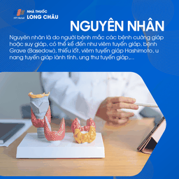 Do rối loạn tuyến giáp như viêm, thiếu iốt, Basedow, Hashimoto, u hoặc ung thư tuyến giáp