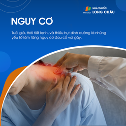 Đối tượng có nguy cơ mắc bệnh đau cổ vai gáy: nhân viên văn phòng và người lớn tuổi